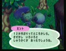久々にどうぶつの森ｅ＋をやってみる1/2