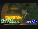 【実況】野生を感じてゼルダの伝説ブレス オブ ザ ワイルド part34