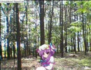ゲーマーな女が幻想郷入り The Second Barrage 「5# Armed fortress(ry」後編2/2