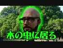[不安実況] ハゲとメガネのなる木 Dead_by_Daylight [PART67]