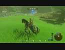 【実況】part11 世界に遊んでもらうゼルダの伝説BotW