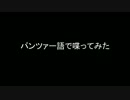 パンツァー語で喋ってみた [パンツァードラグーン]