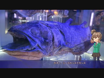 【MT-03】ささらん車載でpart9 バイクと沼津へ遊びに行こう！【道志→沼津→箱根】