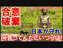 【不可逆的合意の破棄確実】 日本こそが合意の精神を守れ!何言ってんだ!
