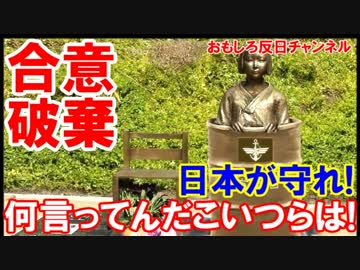 【不可逆的合意の破棄確実】 日本こそが合意の精神を守れ!何言ってんだ!