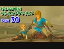 【実況】野生を感じてゼルダの伝説ブレス オブ ザ ワイルド part36