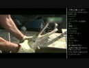 [2017.04.06]ひろくん 動画鑑賞 (2/4)