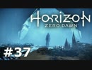 【実況】ゾイドな世界でひと狩りいこうぜ！【HZD】＃３７