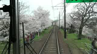 【電車で】【前面展望】嵐電北野線 帷子ノ辻→北野白梅町【お花見？】