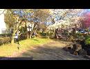 【踊ってみた】　えれくとりっく・えんじぇぅ
