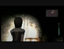 #33【Wii 零（ゼロ）眞紅の蝶】ついにお姉ちゃんと再会【女性実況】