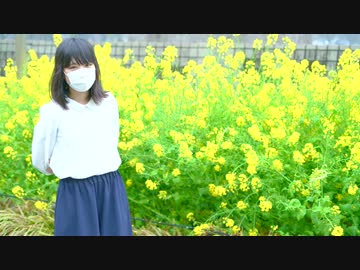 【初投稿】ピチカートドロップス 踊ってみた　【かい】