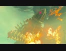 【高画質プレイ動画】ゼルダの伝説 ブレスオブザワイルド Part78