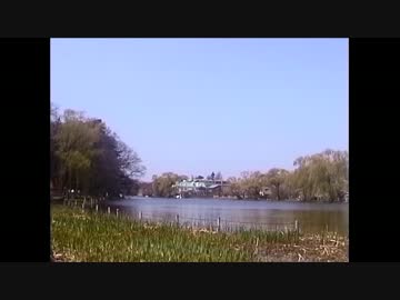 【音楽と景観】東京緑地　石神井公園