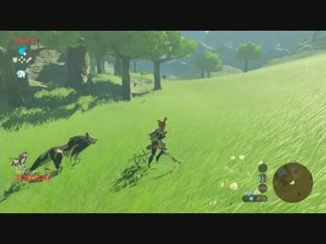 【実況】愛に生きるゼルダの伝説ブレスオブザワイルド part35