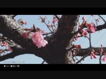 【感情を込めて】春に一番近い街 を歌ってみた 【愛結-ゆめ-】