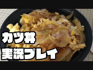 カツ丼　実況プレイ