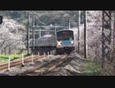 今年で見納め　205系と桜　阪和線205系　山中渓駅