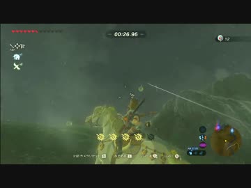 ゼルダの伝説botw 流鏑馬 25個