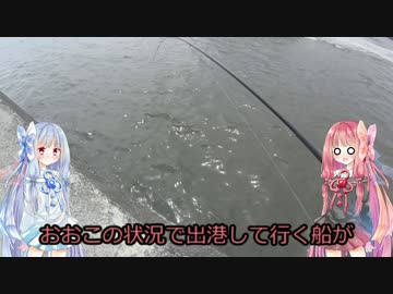 きまぐれ水【上】観察その4