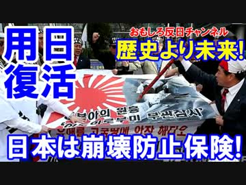 【日本お願い助けて欲しい】 用日は保険になる、おいおい・・・！