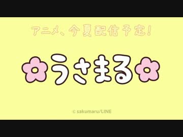 猫だけど、うさまるのうた弾き語りしてみた。謝謝