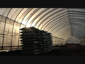 まったり農家な一日　第４８話