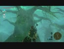 【高画質プレイ動画】ゼルダの伝説 ブレスオブザワイルド Part83