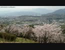 【生海月】なまくらじお【2017.4.12】