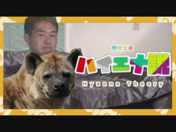 野獣先輩ハイエナ説.savannah