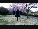 【月野奈月】凛として咲く花の如く　踊ってみた【桜です】