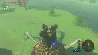 花ババアを涙目にする依頼を受けたリンク１３