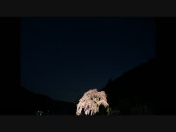椎葉の春節