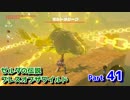 【実況】野生を感じてゼルダの伝説ブレス オブ ザ ワイルド part41