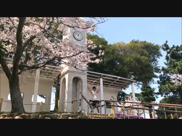 バタフライ・グラフィティ　踊ってみた　【二周年！】