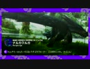 【モンハン】狩りごっこが得意なフレンズたちをかいせつ