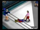 東方プロレス～東方闘魂記～１６回目興業・第一試合【投コメ実況】