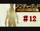 【実況】-黄金のエル・ドラド-アンチャーテッド.Part13(毎日実況102日目)