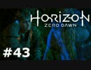 【実況】ゾイドな世界でひと狩りいこうぜ！【HZD】＃４３