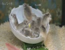 ゴールのない世界、止まったら負け！