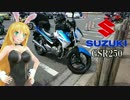【NM4-02】弦巻マキと名所探訪 part.44「長崎県・展海峰」