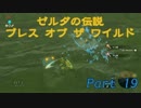 実況とはよべないゲームプレイ【のんびり冒険 ゼルダの伝説BotW】19