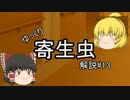 【ゆっくり解説】ゆっくり寄生虫解説#13~有鉤条虫~