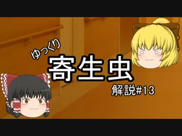 【ゆっくり解説】ゆっくり寄生虫解説#13~有鉤条虫~