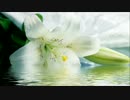 1時間耐久・造語で作業するBGM～2時間目～