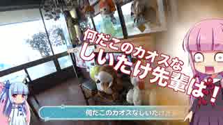 Z250で行こうぜ！part02 帰りたい場所がある！大洗へ！まずは沼津