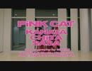 【ささちた彼方】PiNK CAT【踊ってみた】