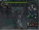 MHP2Gはじめてみた～その2～