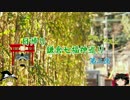 【ゆっくり】鎌倉七福神巡り　旗上弁財天社～本覚寺【第二夜】