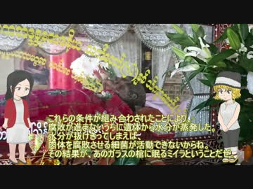 【ゆっくり解説】仏教のミイラを紹介【ミャンマー】